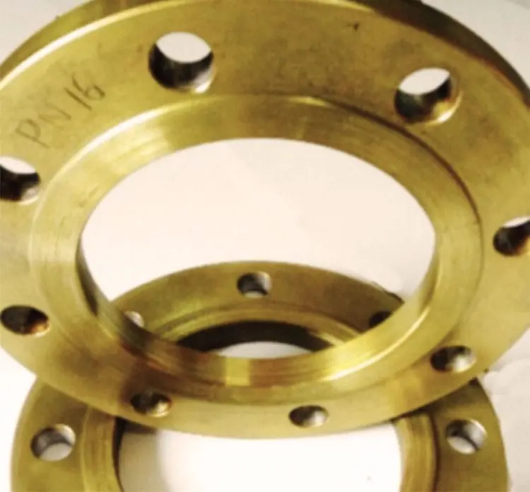 PN16 Slip-On Flanges — Corrosion Resistant